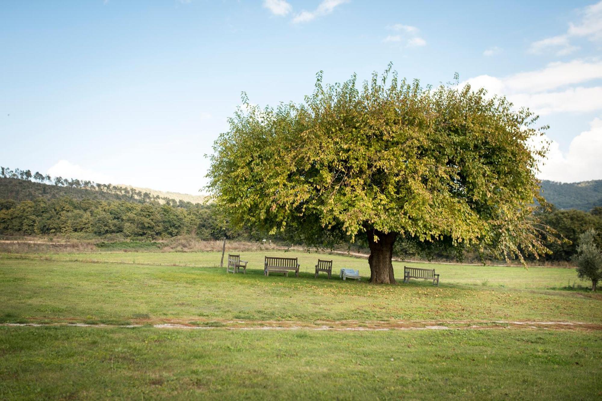 Agri Relais Il Poderaccio Di * Bolsena