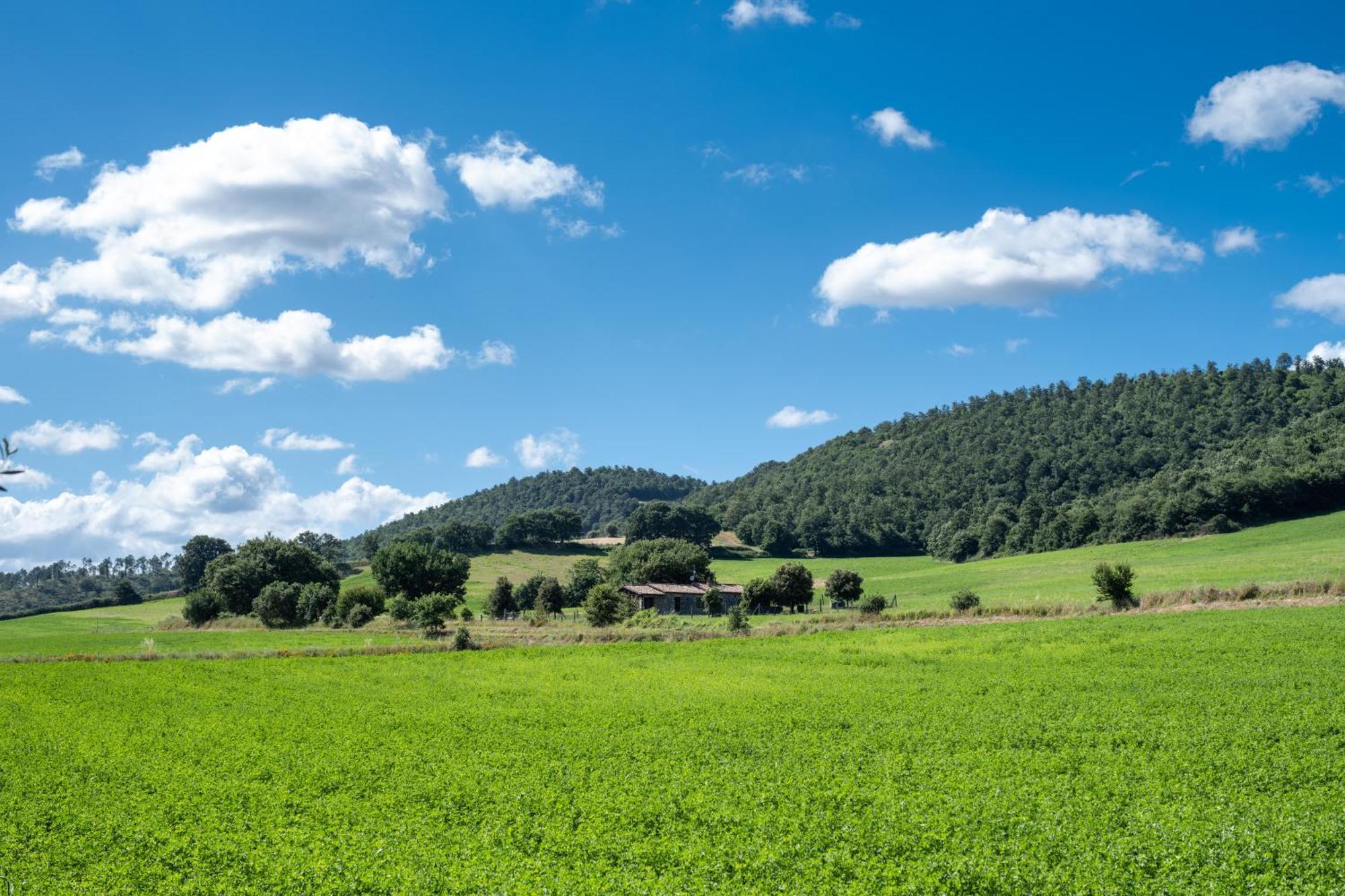 Agri Relais Il Poderaccio Di