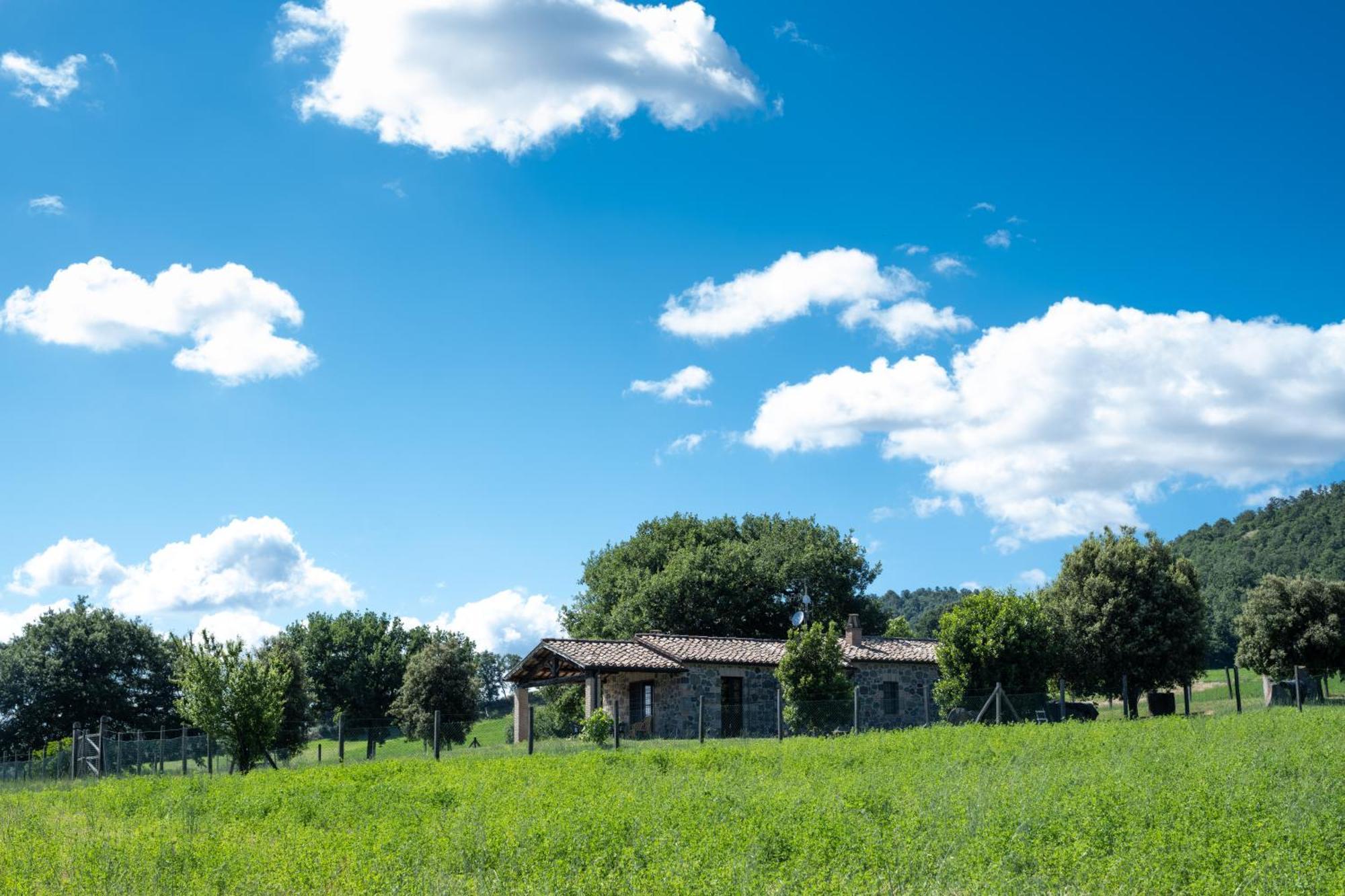 Farm stay Agri Relais Il Poderaccio Di Bolsena
