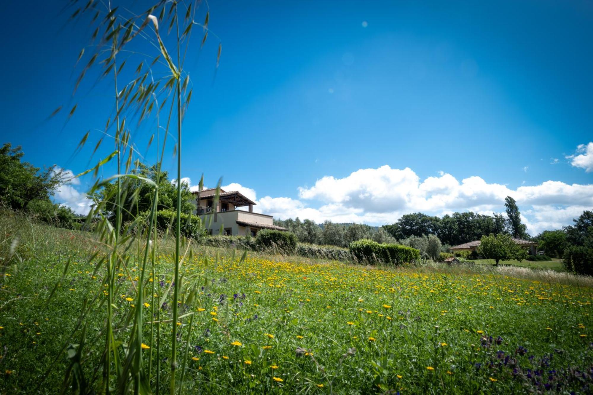 Agri Relais Il Poderaccio Di * Bolsena