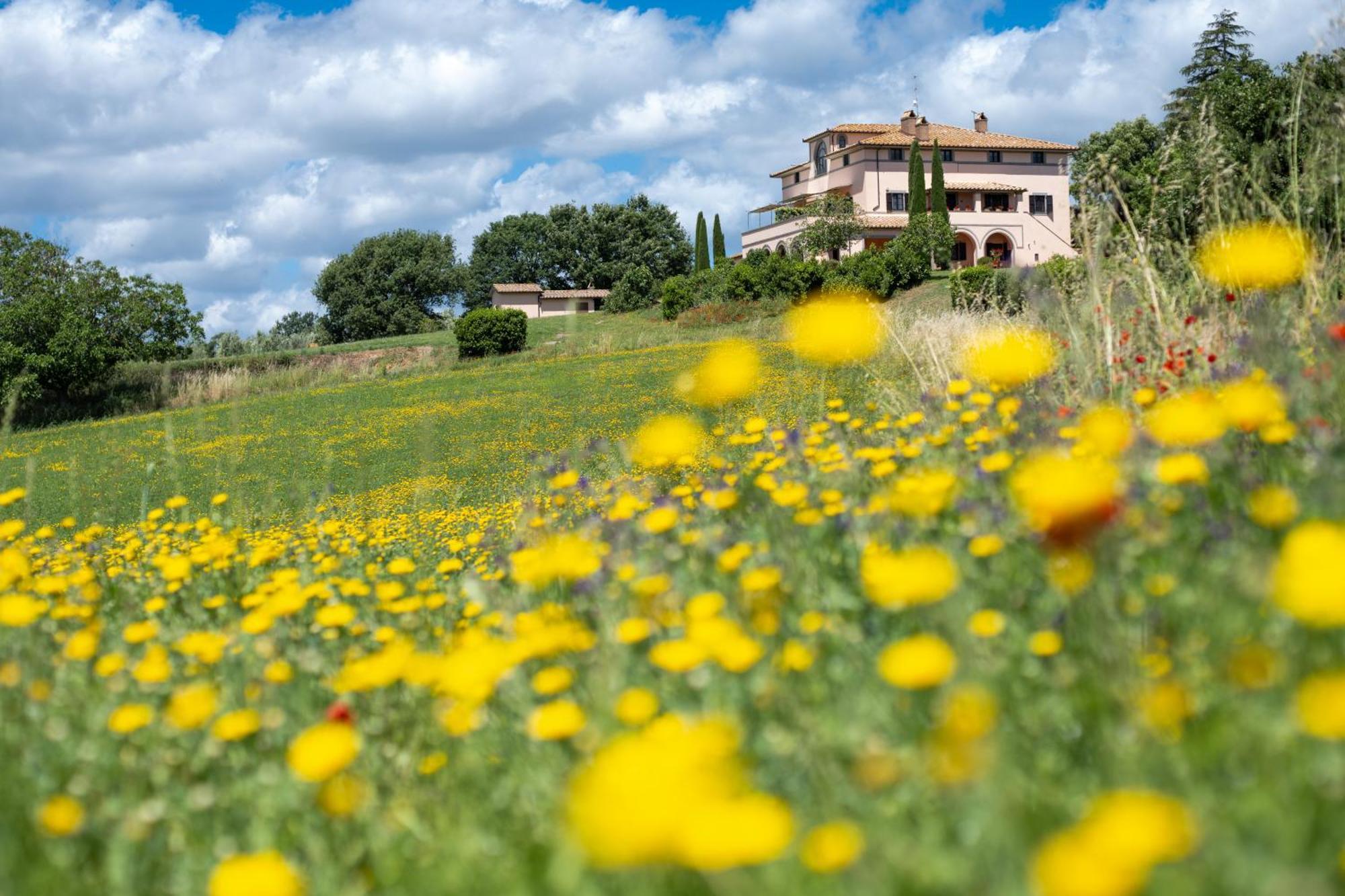 Farm stay Agri Relais Il Poderaccio Di *